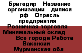 Бригадир › Название организации ­ диписи.рф › Отрасль предприятия ­ Розничная торговля › Минимальный оклад ­ 35 000 - Все города Работа » Вакансии   . Мурманская обл.,Мончегорск г.